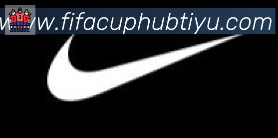FIFA世界杯赛事官方网站合作伙伴